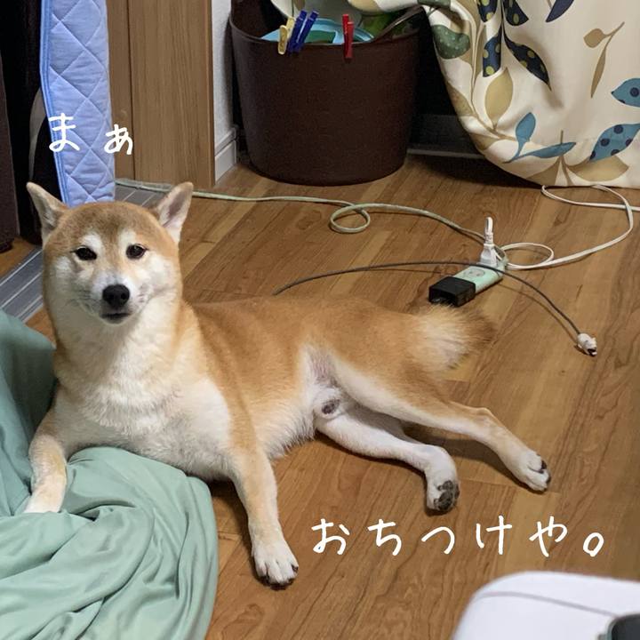 Dc232cd6 0c6e 4c64 964e e335ddd10840 1595250986146