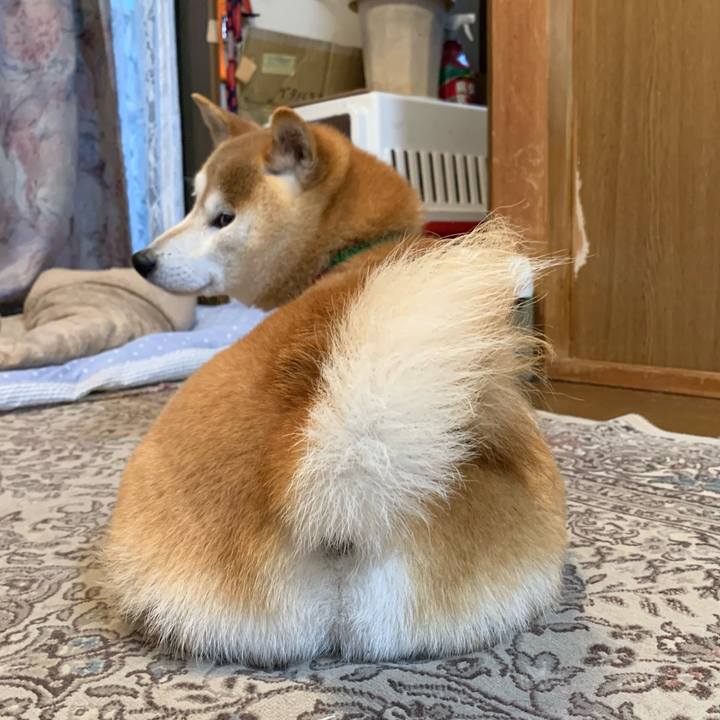 Dc2376db eacc 4073 8563 afe9f3809a53 1653131515624