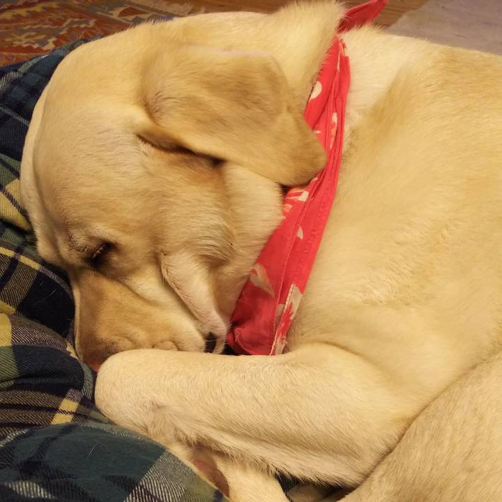 Dc238570 a584 4397 8d5e e1670533d88b 1549791616533