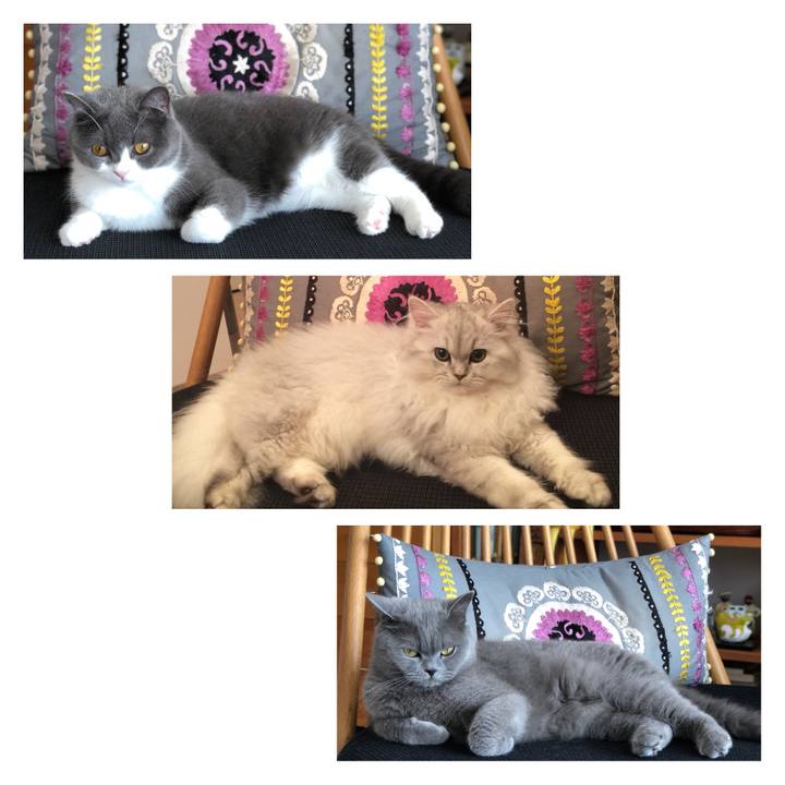 Dc23a83e 310b 43e8 9c98 b60010525846 1532152223224