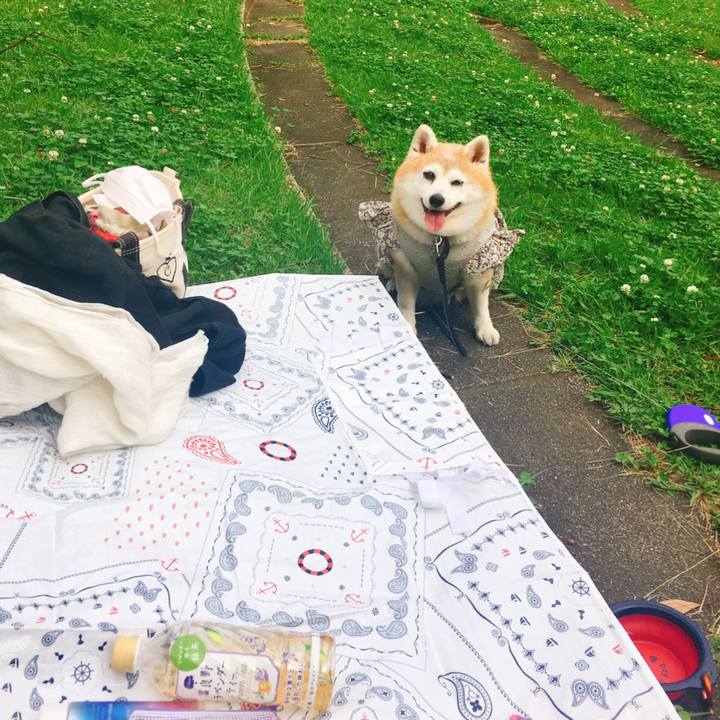 Dc23b8d2 e188 45d8 9ed1 471f7c0c8e93 1624435610651