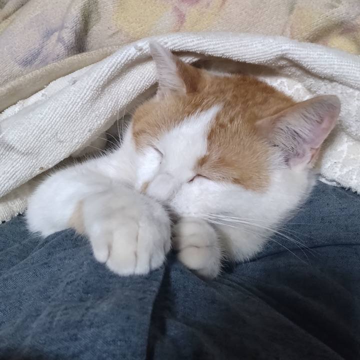 Dc23b9fa 3d3a 4d23 bb74 d768df3f92e5 1744027064831