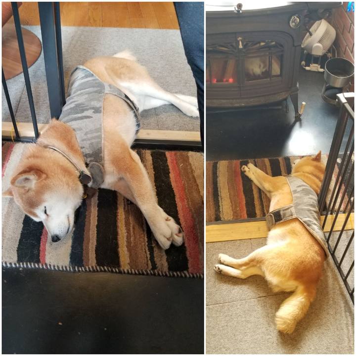 Dc247063 5c3a 4e1c 9dc7 f8b9401521d2 1646607505726