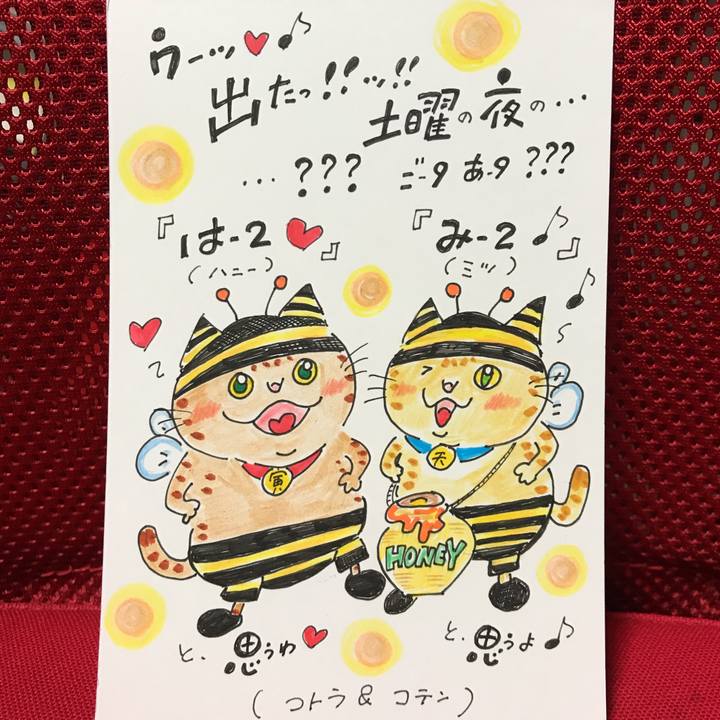 Dc24733b 5e0b 4449 ac67 67b059522179 1551532193147