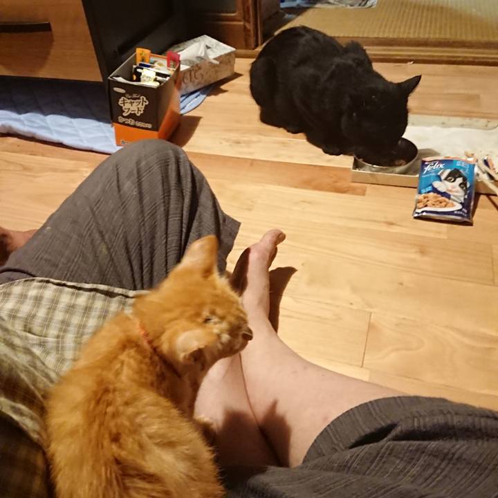 Dc2479da 88a8 48e1 8f95 d6fa2145c3ec 1628339839359