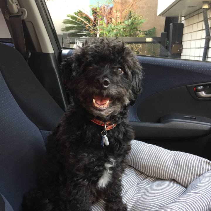 Dc2481ef 6e56 4329 a809 d141a7ca656c 1526490353000