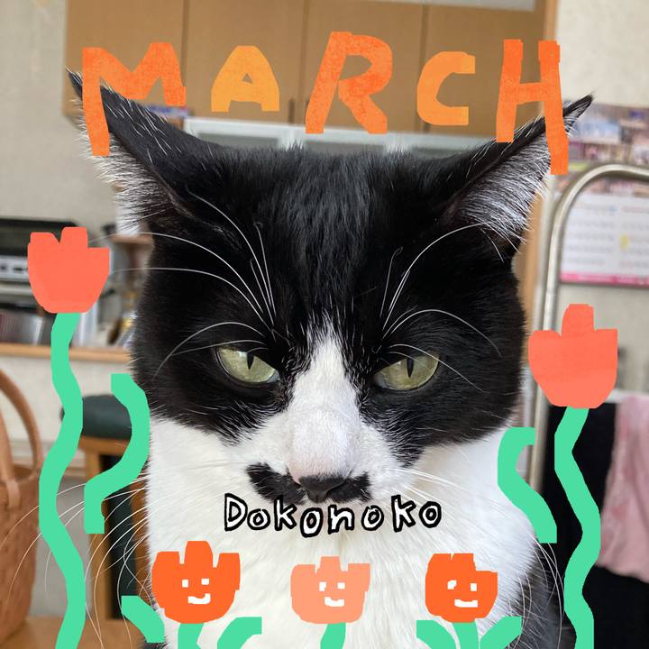 Dc2495e0 8bed 4aad b6c4 fcb17155ad62 1741226397391