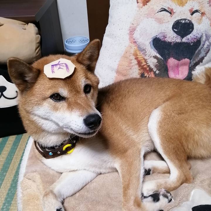 Dc24a97c 9463 42cd 8e6b edd4088f2ddf 1596022324808