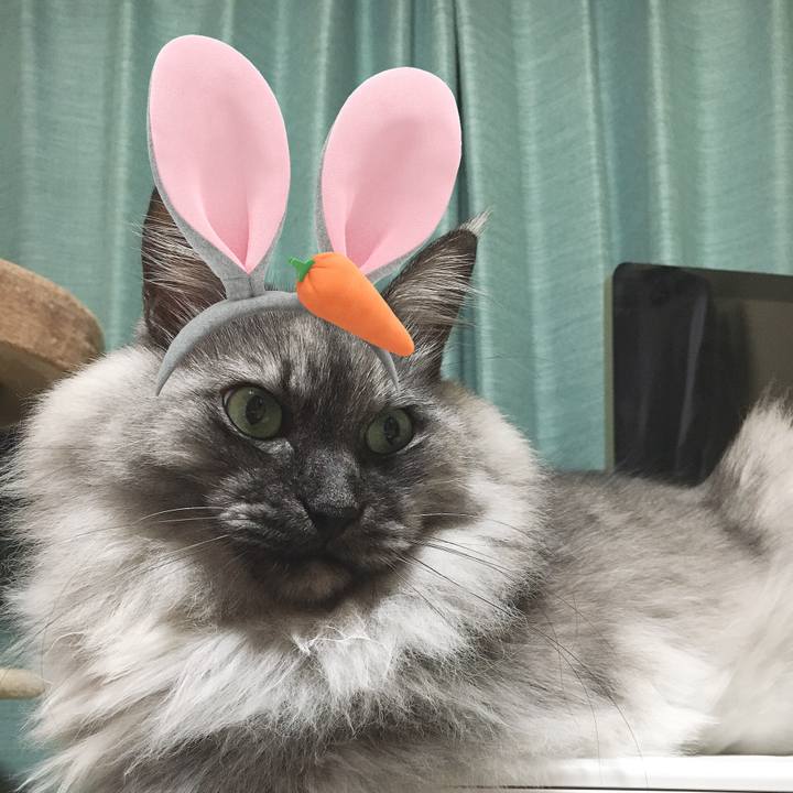 Dc24b953 9d96 4232 8248 a1f2bd6225ae 1561768189064