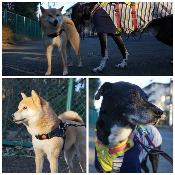 Dc24c599 fbc6 4a36 8494 2424d9b94b80 1769127674065