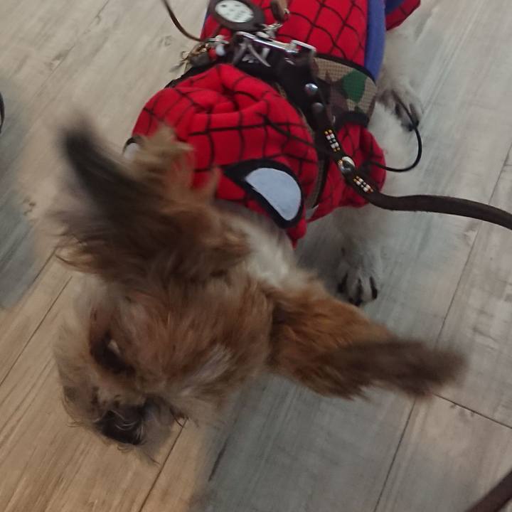 Dc24ed6d 62ef 406b 8951 50d73a08dc32 1543757468273