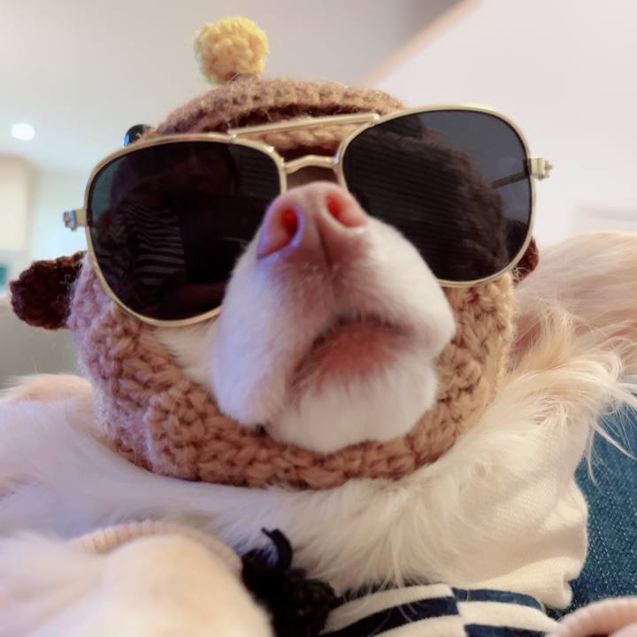 Dc25214a 8154 4106 ae15 241237525a57 1712413067245