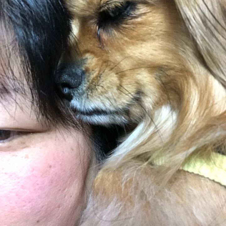 Dc253f45 f880 4808 b786 84862abeffc3 1553340157705