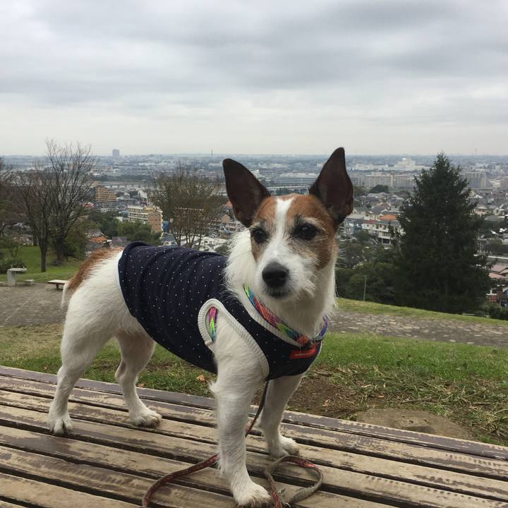 Dc253f95 b7ec 45ea ac51 2e6d8b1a7525 1572834606517