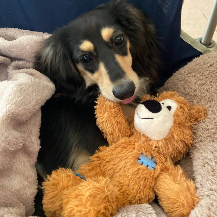 Dc2542e1 ddf2 4516 b3e4 ec787c0ae698 1682389210196