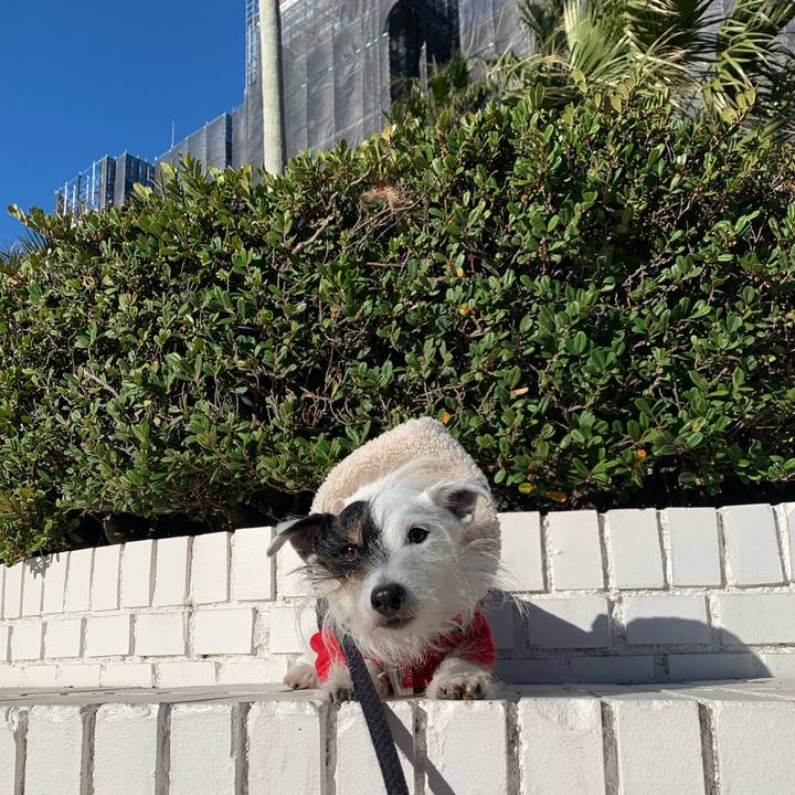 Dc2569c5 0d01 4a80 9dfe 5324b90d6234 1703119192942