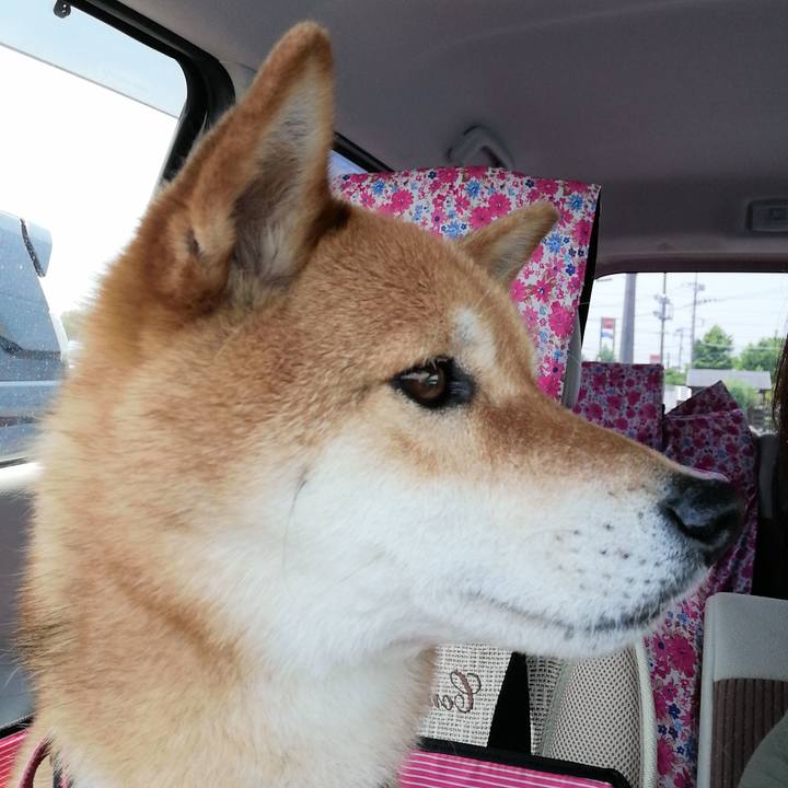 Dc25818d 4e8b 4e43 bca9 121fe14ad515 1591671478391