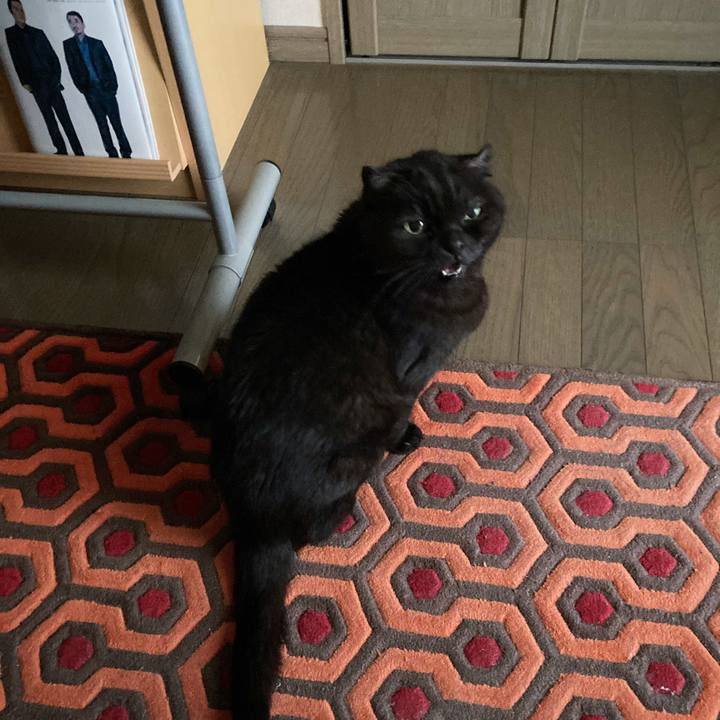 Dc258865 2854 4a62 85e0 a4d14c7f67f3 1608770342365