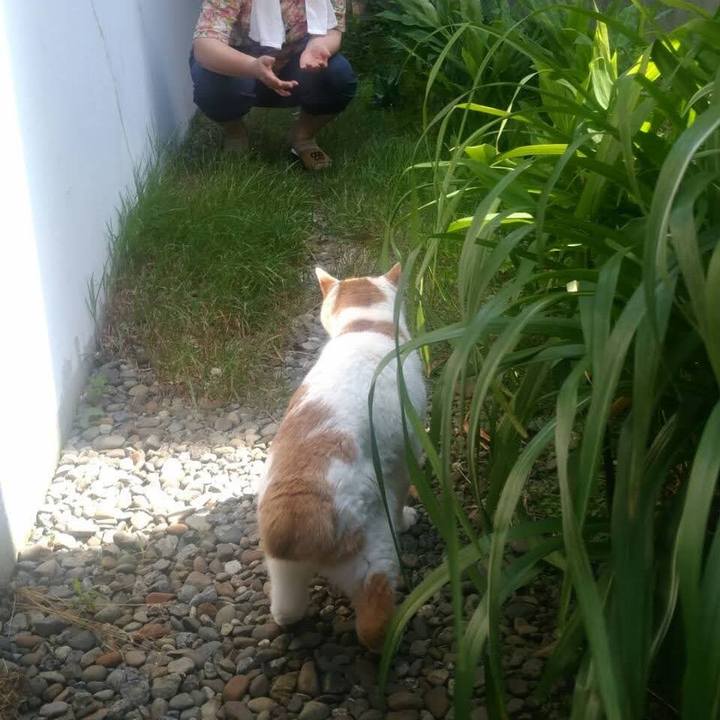 Dc25a23a 1b4a 4f42 b410 36ebb3197af9 1658041322698