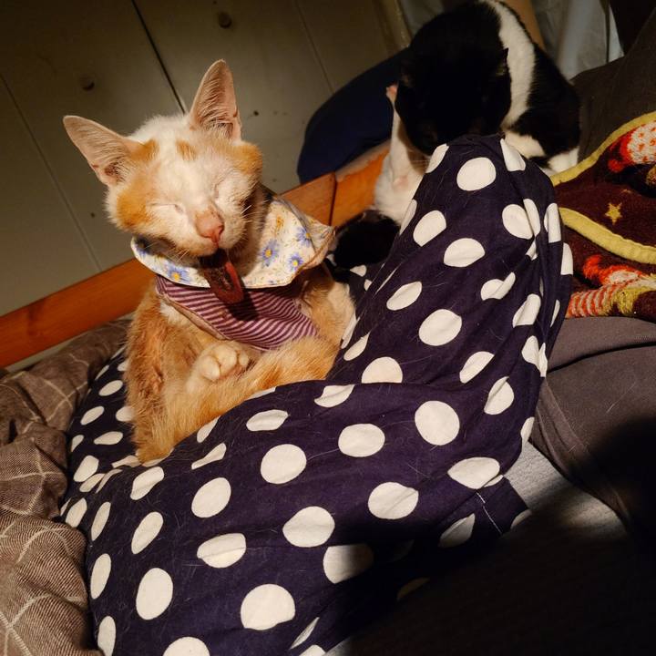 Dc25e3ae 02c4 4db7 ab34 04079afb76dc 1771848122280