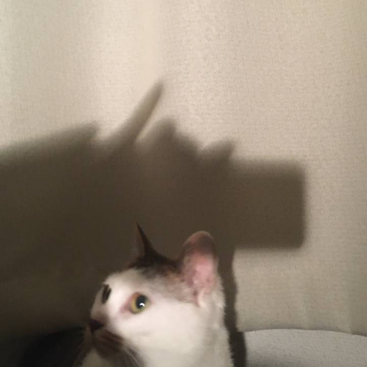 Dc2634e3 52ac 400f b6a8 d4aed25694dd 1635779814152