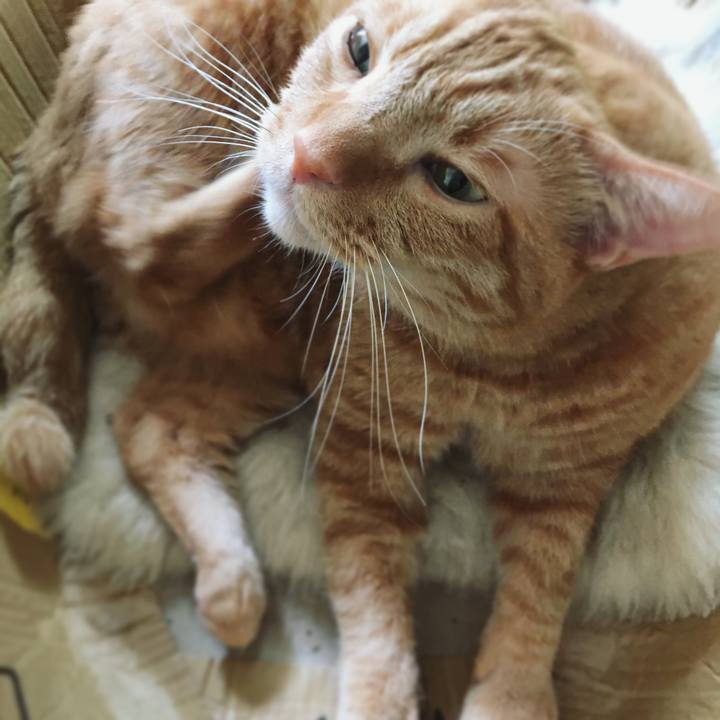 Dc2674a4 4ac8 4639 b237 99efb0892aef 1602115506767