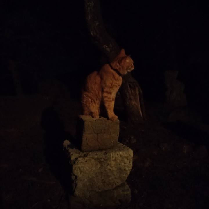 Dc268753 9246 45d4 9dfe b758de8057dc 1686572400361