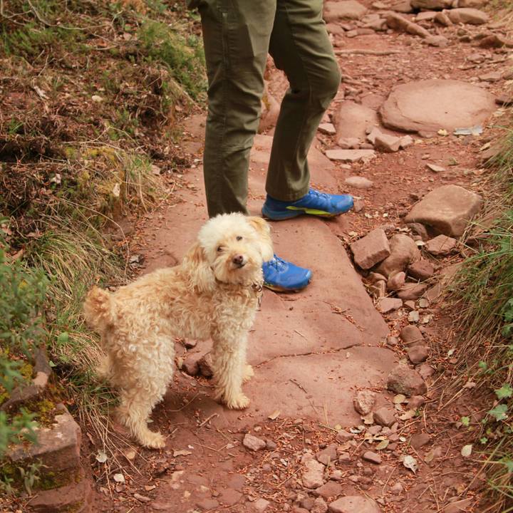 Dc268d7c d85e 48a2 ab2b e3a67d10a7e8 1556470879376