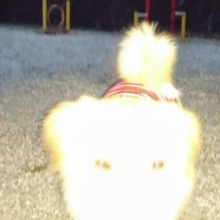 Dc26956a 2c3a 4412 ac4e 8f958f465536 1523924247459