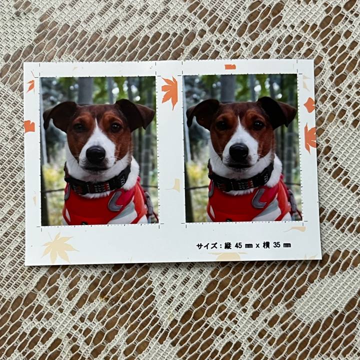 Dc269afa c481 438c aaf7 96d9bcc1bc48 1764682536556