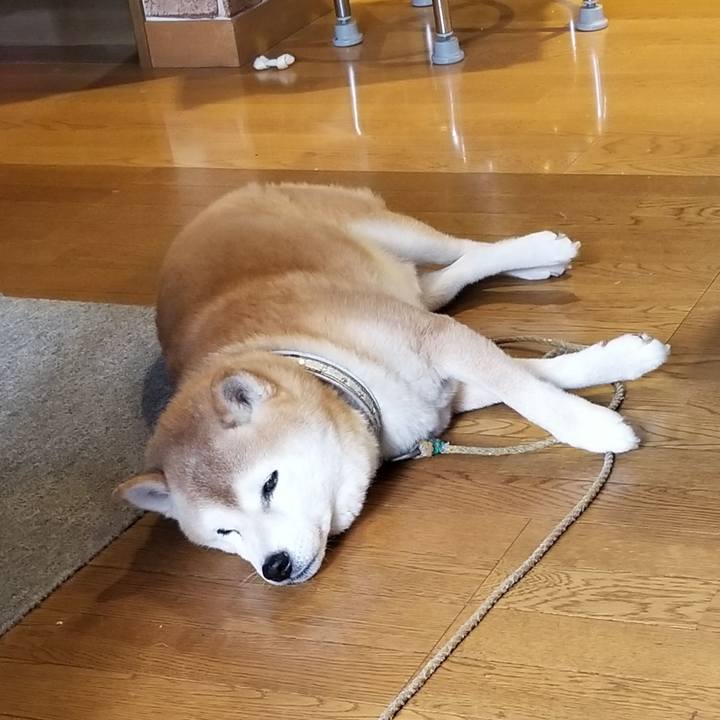 Dc26af09 5698 4a59 af2e 8eea217b95da 1700192311425