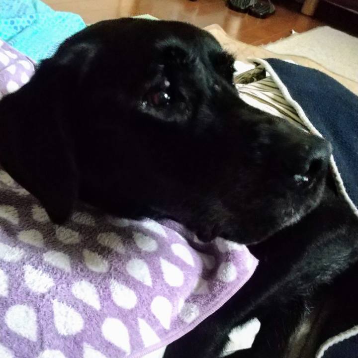 Dc26e198 aee3 40d3 bd9d 3c207319a861 1717281914389