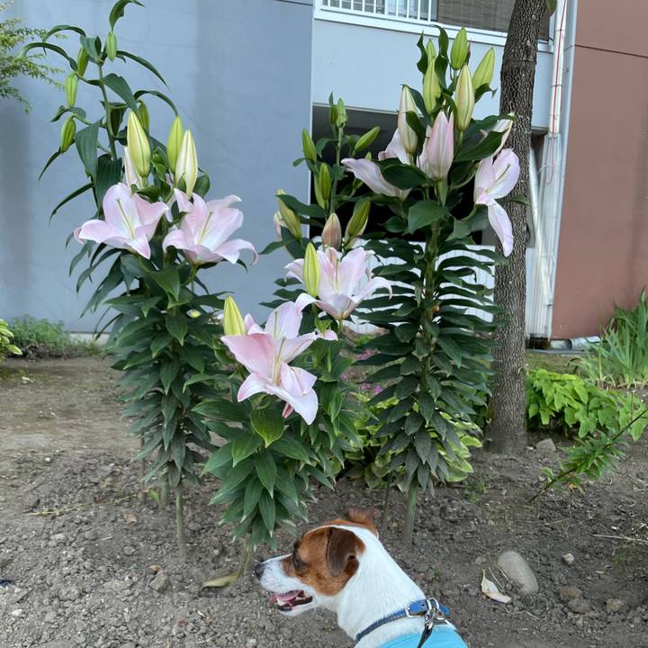 Dc26f714 4471 4184 88c2 7dcb2d0e2238 1626692285362