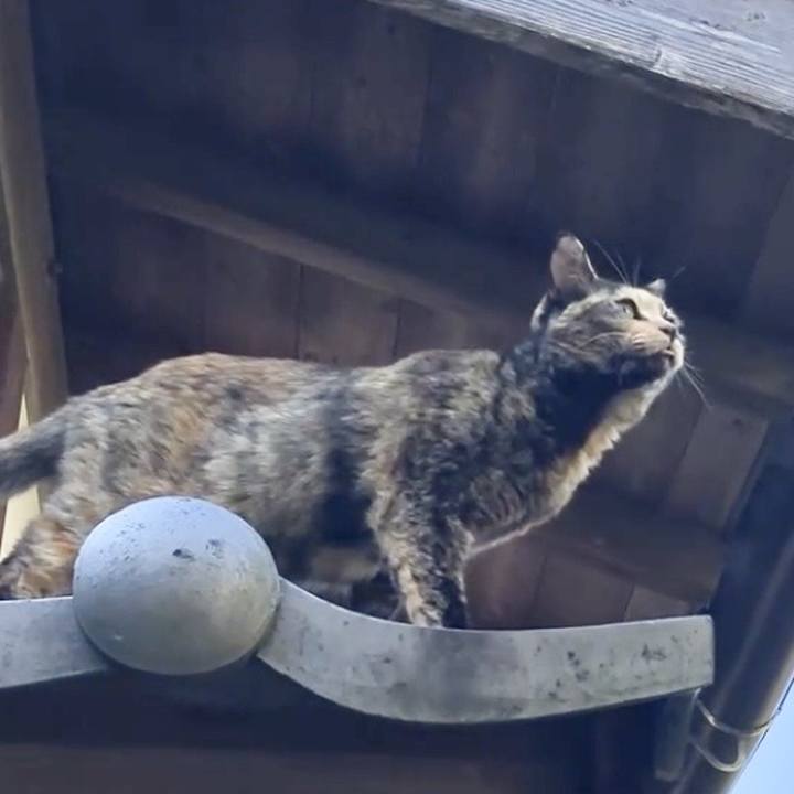 Dc270cb8 56f1 40bd bf89 ba8c5e282c90 1735375763795