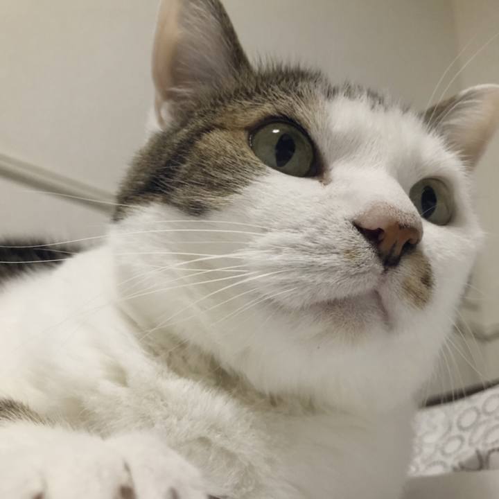 Dc272290 27f6 45f5 84d0 0aaae98d7c81 1559803686657