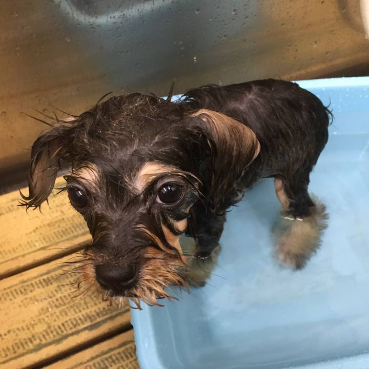 Dc276488 c2e5 4a59 bbe5 5e791aed8fa6 1564748325266