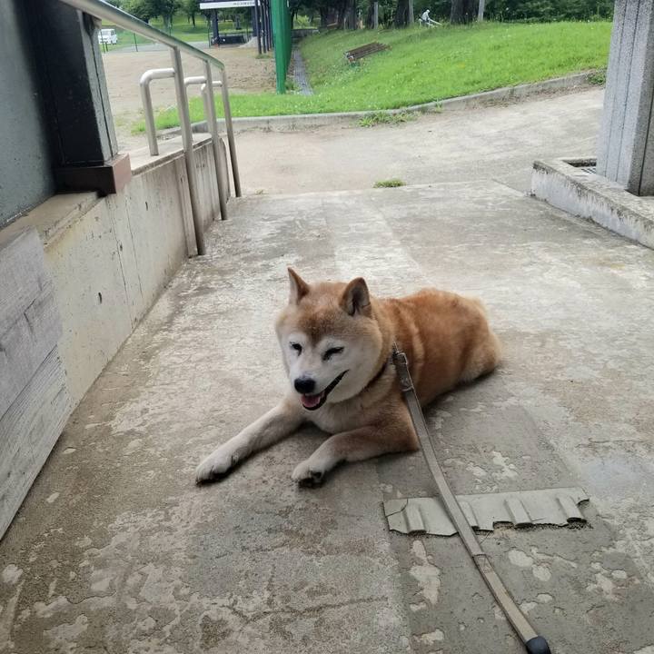 Dc27add9 b7f9 45bb 8962 8c48c1779820 1720571207814