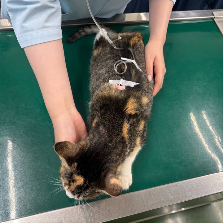 Dc27b453 d39e 4229 8b03 00bade6efbee 1762820524989