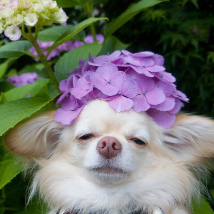 Dc27deeb 11bd 43fa 91ff 4ee592e2e455 1655195278170