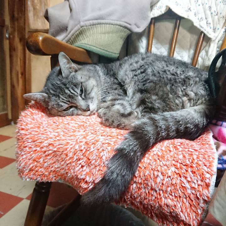 Dc27df74 e790 40dc 9a59 247fe51254c2 1580206719926