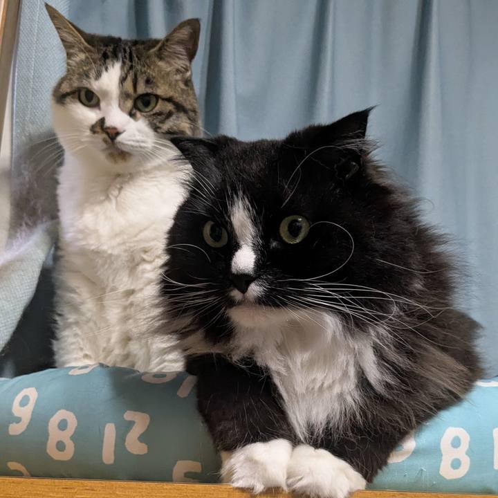 Dc280083 7652 4d71 953b e6bd13ae3cef 1747557436714