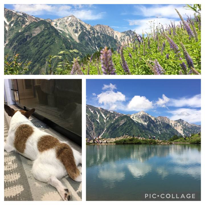 Dc281098 1d6a 465d 9c6b ee81d6b367c0 1628294146875