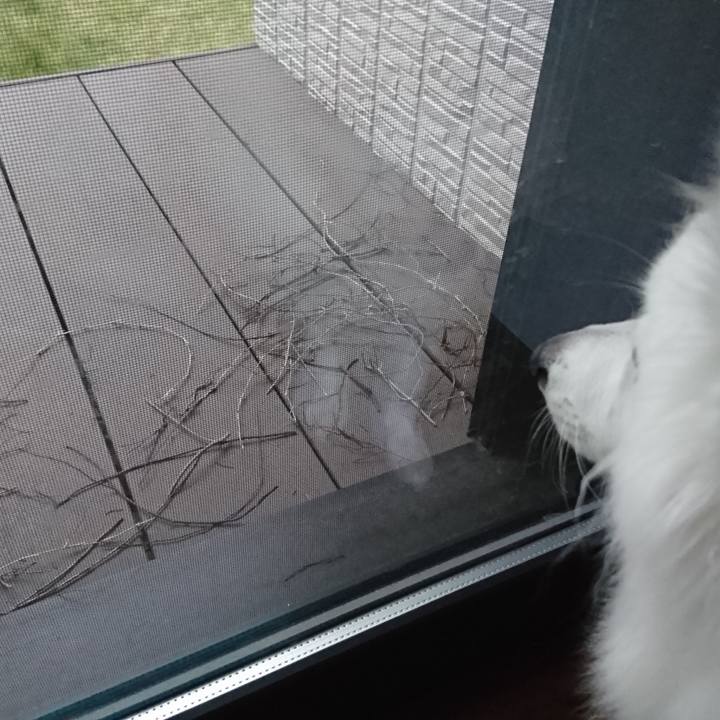 Dc282111 ad23 4231 ade8 0ee8081bab24 1574056376624