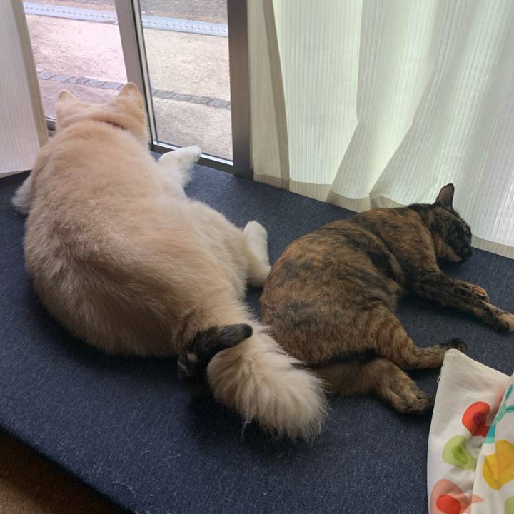 Dc285573 9c54 48d2 aefd 699e008547c9 1729507663642