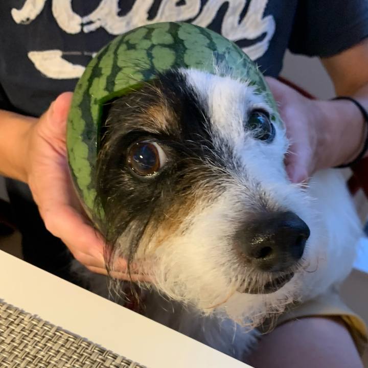 Dc287a3a 62c9 4e30 aee5 c30951055bce 1689761265114