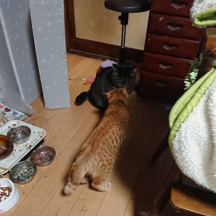 Dc28d581 3e21 4bd7 9aa5 7f611fb23cf2 1642542462774