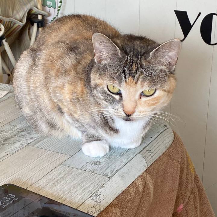 Dc28d613 d308 4078 86aa 1695df3922d2 1584329798359