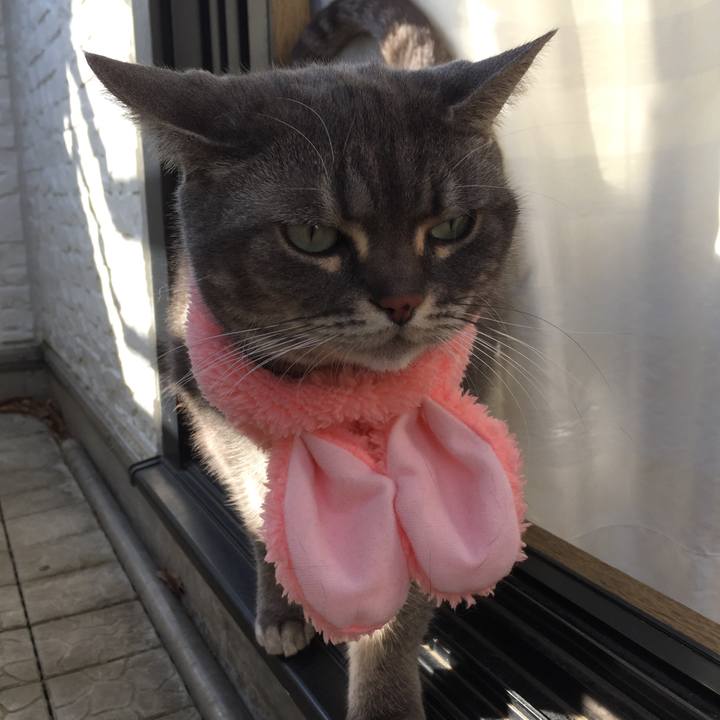 Dc28eeb2 9ebe 47f0 8139 a338557def9f 1520333567420