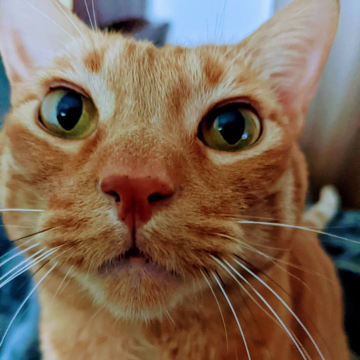 Dc28f703 e58f 4c00 8a0f e9eb859ceb11 1641259948769