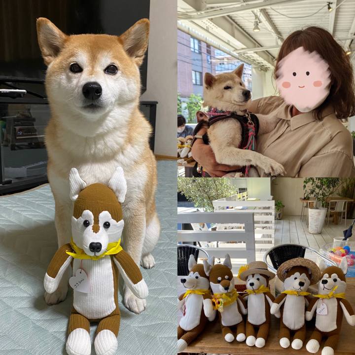 Dc290cab b265 46d1 86d4 6ff1e89f4195 1653316737598